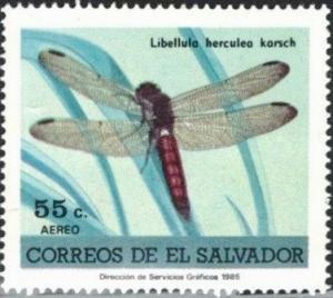 Colnect-2230-593-Silver-sided-Skimmer-Libellula-herculea.jpg