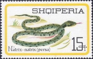 Colnect-2302-742-Grass-Snake-Natrix-natrix.jpg