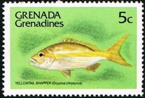 Colnect-2368-793-Yellowtail-Snapper-Ocyurus-chrysurus.jpg