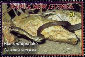 Colnect-2403-043-Black-Whip-Snake-Demansia-vestigiata.jpg