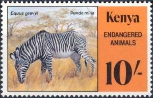 Colnect-2482-078-Grevy-s-Zebra-Equus-grevyi.jpg