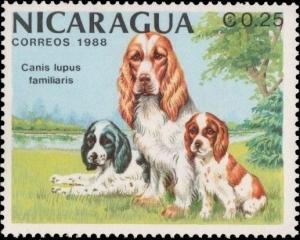 Colnect-2754-595-American-Cocker-Spaniel-Canis-lupus-familiaris.jpg