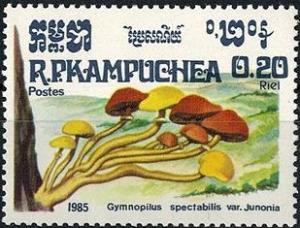 Colnect-2906-462-Gymnopilus-spectabilis-var-Junonina.jpg