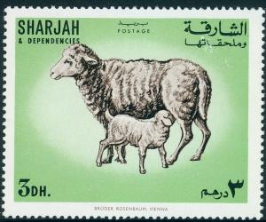 Colnect-3363-798-Domestic-Sheep-Ovis-ammon-aries.jpg