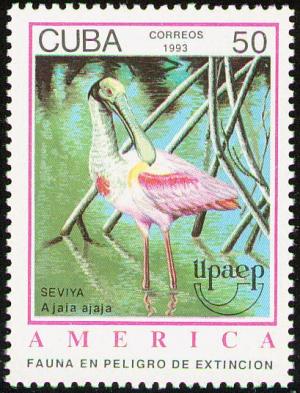 Colnect-3570-099-Roseate-Spoonbill-Ajaja-ajaja.jpg