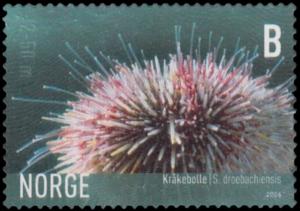 Colnect-4276-723-Northern-Sea-Urchin-Strongylocentrotus-droebachiensis.jpg