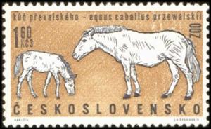 Colnect-441-147-Przewalski%E2%80%99s-Horse-Equus-przewalskii.jpg