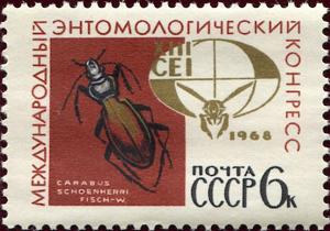 Colnect-4542-046-Ground-Beetle-Carabus-schoenherri-Emblem-of-13th-Entomolo.jpg