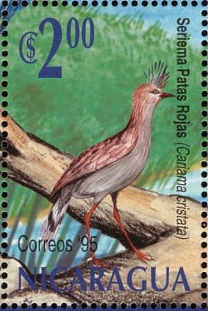 Colnect-4566-596-Red-legged-Seriema-Cariama-cristata.jpg