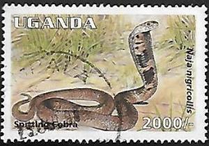 Colnect-4593-837-Spitting-Cobra.jpg