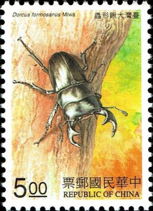 Colnect-4920-768-Formosan-Giant-Stag-Beetle-Dorcus-formosanus.jpg