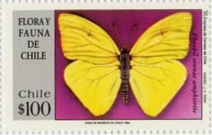 Colnect-560-199-Cloudless-Sulphur-Phoebis-sennae.jpg