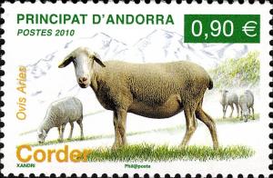 Colnect-627-973-Domestic-Sheep-Ovis-ammon-aries.jpg