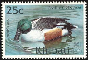 Colnect-772-032-Northern-Shoveler-Anas-clypeata.jpg