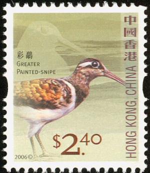 Colnect-832-011-Greater-Painted-snipe-Rostratula-benghalensis.jpg