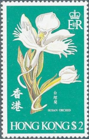 Colnect-832-059-Pecteilis-susannae---Susan-Orchid.jpg