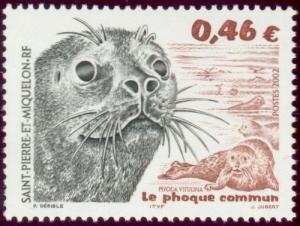 Colnect-878-721-Harbor-Seal-Phoca-vitulina.jpg