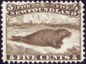 Colnect-919-734-Harbor-Seal-Phoca-vitulina.jpg