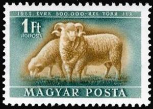 Colnect-994-577-Domestic-Sheep-Ovis-ammon-aries.jpg