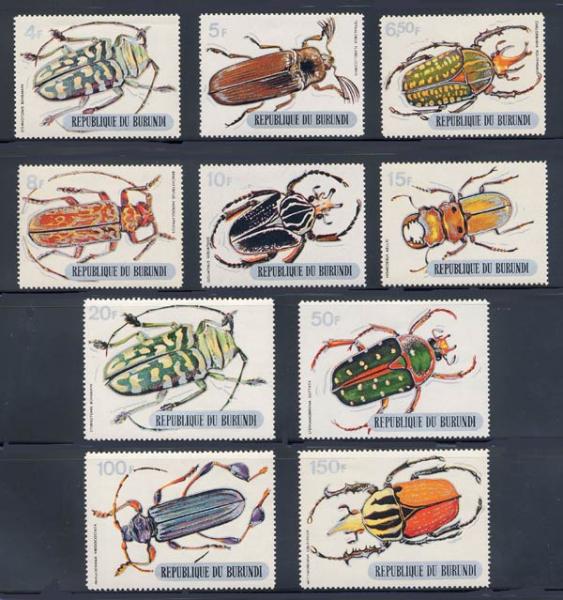 Skap-burundi_03_beetles-silver-bottom_312-321.jpg