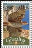 Colnect-2172-214-Bonelli--s-Eagle-Aquila-fasciata.jpg