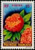 Colnect-1011-591-Saraca-indica.jpg