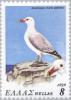 Colnect-174-343-Audouin--s-Gull-Larus-audouinii.jpg