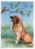 Colnect-4411-233-Leonberger-sitting-under-tree-branch.jpg