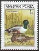 Colnect-586-449-Northern-Shoveler-Anas-clypeata.jpg