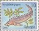 Colnect-1109-255-European-Sea-Sturgeon-Acipenser-sturio-.jpg