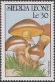 Colnect-1496-899-Suillus-luteus.jpg