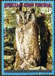 Colnect-1516-770-Common-Scops-Owl-Otus-scops.jpg