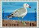 Colnect-171-837-Audouin--s-Gull-Larus-audouinii.jpg