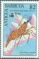 Colnect-1953-825-Peppermint-Shrimp-Lysmata-wurdemanni.jpg