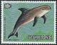 Colnect-3075-011-Risso-rsquo-s-Dolphin-Grampus-griseus.jpg