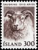 Colnect-4550-787-Domestic-Sheep-Ovis-ammon-aries.jpg