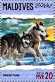 Colnect-4940-110-Siberian-Husky.jpg