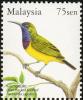 Colnect-1505-037-Olive-backed-Sunbird-Cinnyris-jugularis.jpg