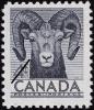 Colnect-659-266-Bighorn-Sheep-Ovis-canadensis.jpg