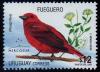 Colnect-1300-689-Hepatic-Tanager-Piranga-flava.jpg