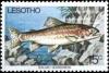 Colnect-1730-125-Rainbow-Trout-Salmo-gairdneri.jpg