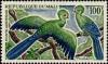 Colnect-2354-708-Guinea-Turaco-Tauraco-persa.jpg