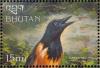 Colnect-3385-954-Venezuelan-Troupial-Icterus-icterus.jpg