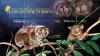 Colnect-3466-043-Horsefield--s-Tarsier-Tarsius-bancanus-Sunda-Slow-Loris-N.jpg