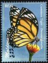 Colnect-3574-447-Common-Tiger-Danaus-genutia.jpg