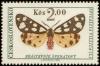 Colnect-438-506-Cream-spot-Tiger-Epicallia-villica.jpg