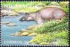 Colnect-4700-312-Tapirus-bairdi.jpg