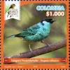 Colnect-5965-090-Golden-naped-Tanager-Tangara-ruficervix.jpg