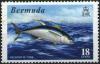 Colnect-598-472-Yellowfin-Tuna--Thunnus-albacares.jpg