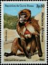 Colnect-5991-366-Gelada-Therapithecus-gelada.jpg